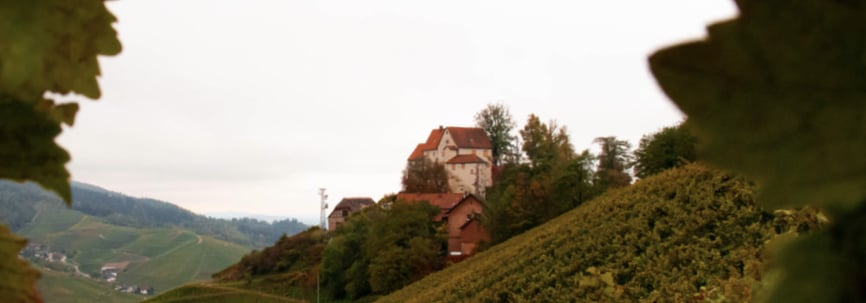 schloss inventarisierungssoftware